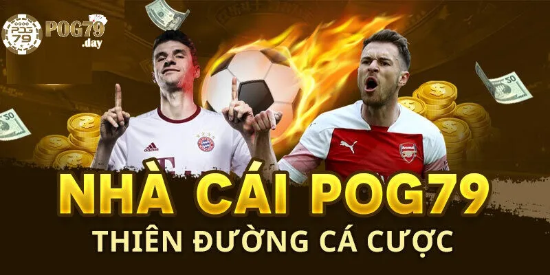 Pog79 Là Gì? Hiểu Biết Về Nền Tảng Đột Phá Này